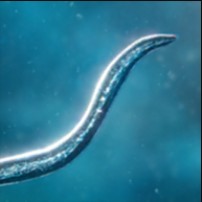 ���ӵ���Դ