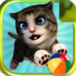 �ɰ�è��ð��