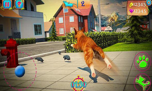 �ɰ�è��ð��