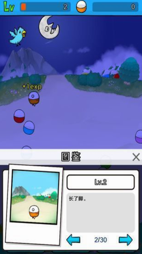 ��������Ť��2