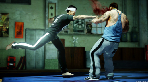 ��Ѫ����