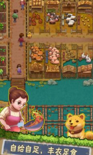 ���ŵ�СũԺ2