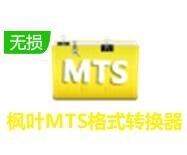 ��ҶMTS��ʽת���� v13.8.0.0 ���°�