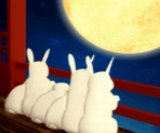 ��ҹ�ӳ��ƻ�