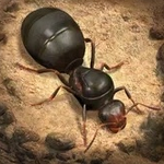 СС�Ϲ�  v1.24.0 ���İ�