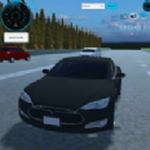 ��˹�����м�ʻ