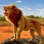 ʨ����������