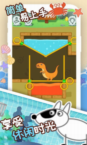 ��Ƥ�����ռ�