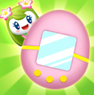 ����Զ������ɼ�