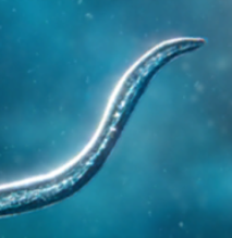 ���ӵ���Դ