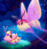 ����֮��ҹ