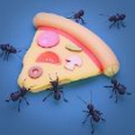 ����֮��