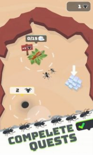 ����֮��