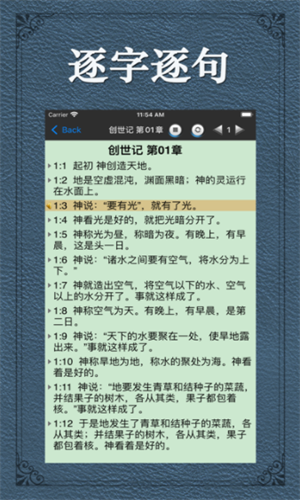 screenshot13084