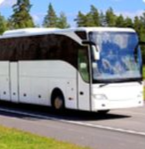 ���ް�ʿģ����