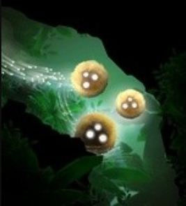 Ͷ������  v1.0.1 �ֻ���