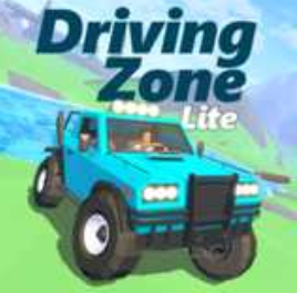 ��ʻ����