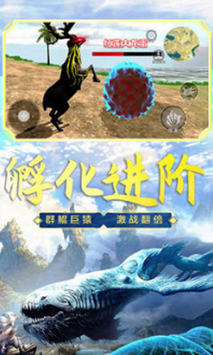 ɽ�����ɽ���