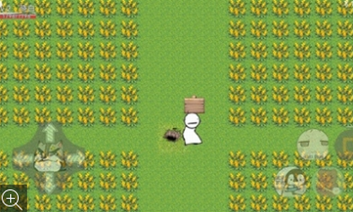 晓豚鼠的冒险梦