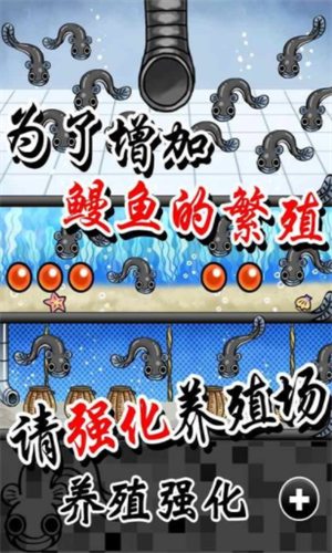 ������ֳ��