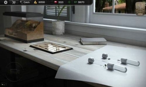 ����ģ����