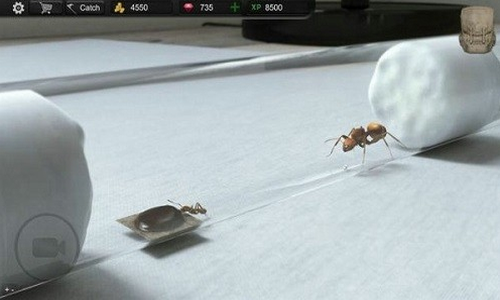 ����ģ����