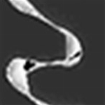 geartrax2020(CAD�����������) v30.10.2019 �����ƽ��