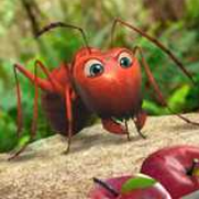 �����о���