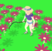 ����ũ��