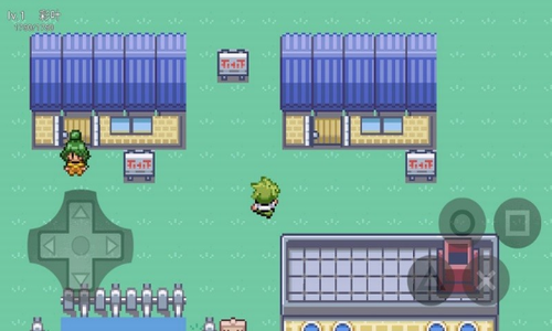 �ڴ���������