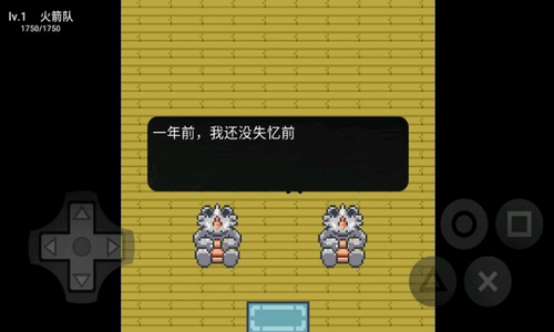 �ڴ���������