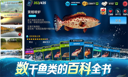 �����Ծ�