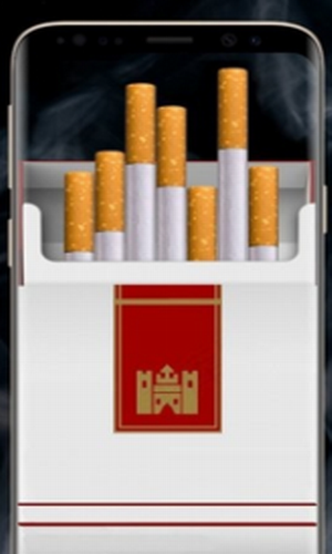 ����ģ����