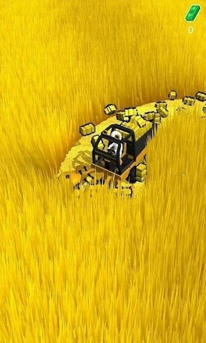 �����ո���