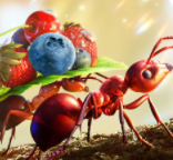 ������ǰ��