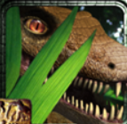 ����Զ��2