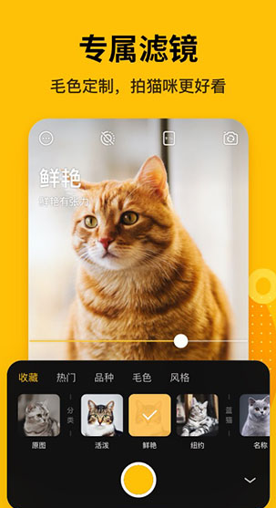 screenshot66