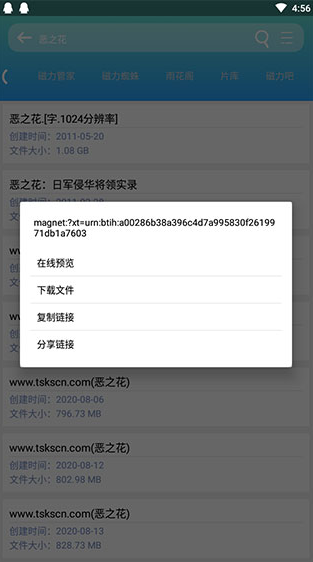 screenshot271