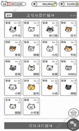 猫咪真的超可爱