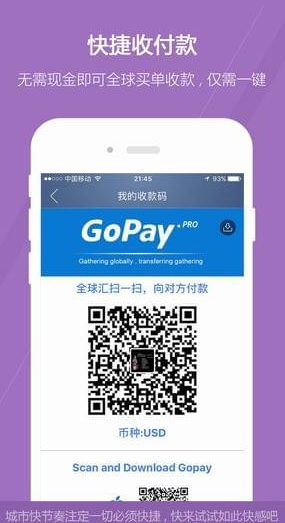 gopayǮ�����İ�֧��ƽ̨
