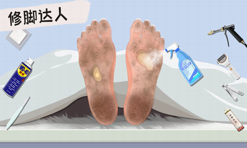 ���ɸ��ֺϼ�