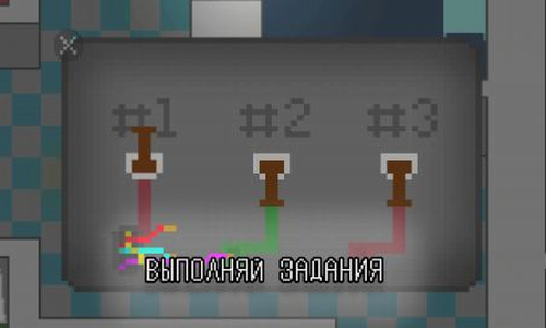 ����Ŷ���