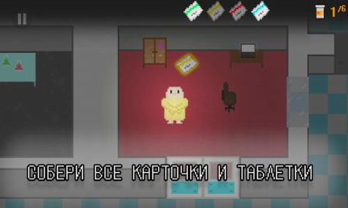 ����Ŷ���