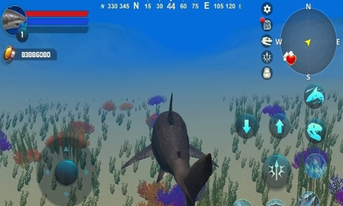 �޳���ģ����