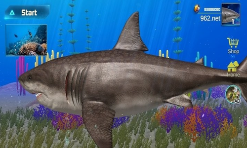 �޳���ģ����