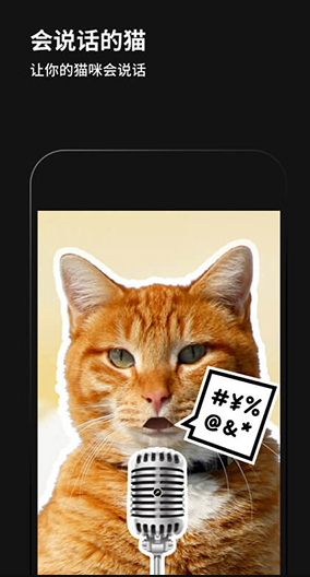 screenshot196
