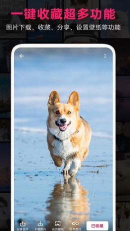 screenshot357