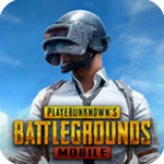 pubg���ʷ�����