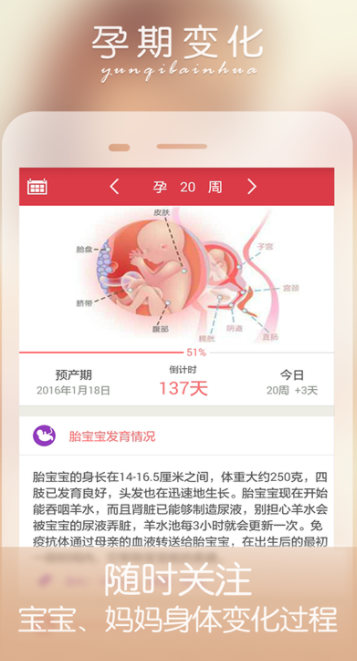 screenshot355