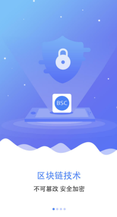 bsc������